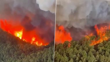 Spain Wildfire: Winds From Storm Ciaran Whip Up Bushfire in Montitxelvo As 850 People Evacuated