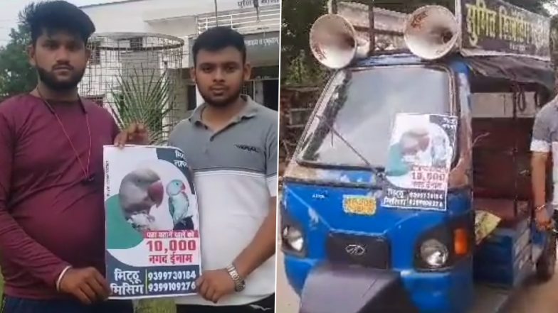 'Mitthu Missing' in Madhya Pradesh: Pet Parrot Goes Missing Due to Dogs' Barking, Damoh Family Announces Rs 10,000 Reward for Tracing the Bird (Watch Videos)