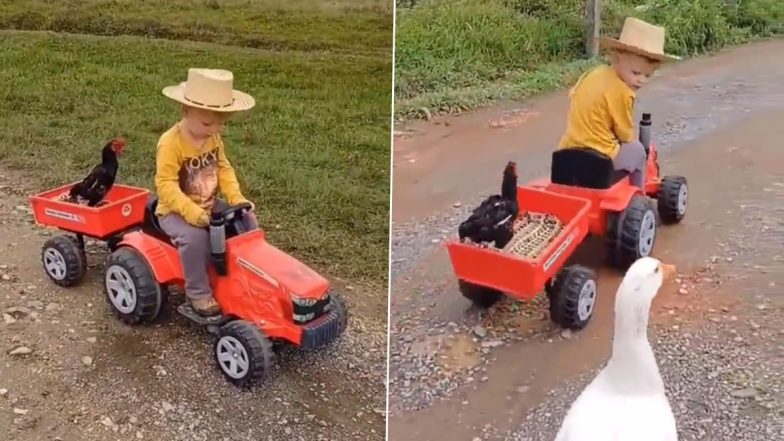 Too Cute To Handle! Kid Gives Ride to a Chicken on His Toy Truck, Old Video Goes Viral Again (Watch)