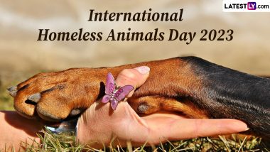 International Homeless Animals Day 2023 Date: Know the Significance of the Day the Spreads Awareness Regarding Homeless Animals Across the World