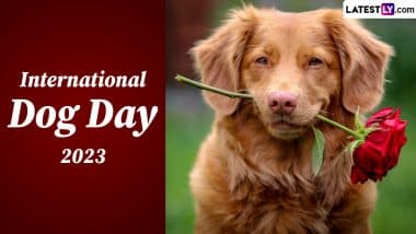 International Dog Day 2023 Date: Know History And Significance Of The Special Day Dedicated To This Adorable Animal