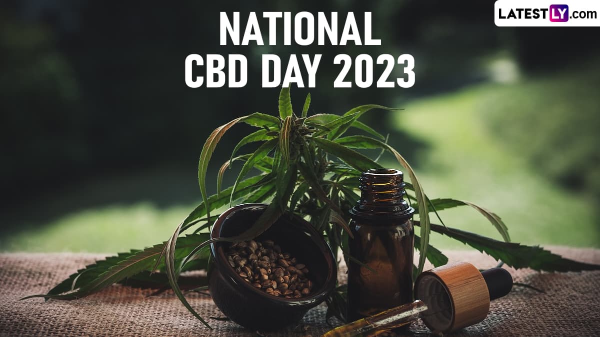 Festivals & Events News | When Is National CBD Day 2023? Everything To ...