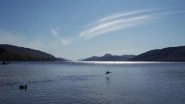 Loch Ness Monster Caught on Camera? British Holidaymaker Believes He Saw &lsquo;Nessie&rsquo; as He Captured Mysterious Black Shape in Water in Scottish Highlands Loch