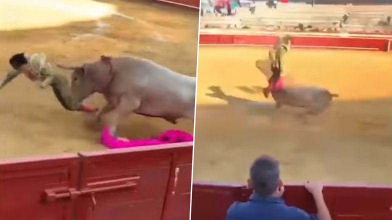 Bull Attack Video: Bull Attacks, Thrusts Horn Into Spanish Matador's Rectum; Spine-Chilling Footage Goes Viral