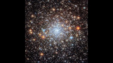 NASA Shares Mesmerising Visual of Closely Packed Star Clusters NGC 6652 Clicked by Hubble Space Telescope (See Pic)