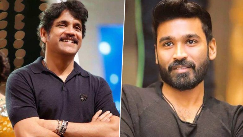 D51: Nagarjuna Teams Up With Dhanush for His Upcoming Film! Makers Announce News on Naa Saami Ranga Actor's Birthday