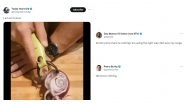 Video Shows How to Thinly Slice Onion Within Seconds, Netizens Come Up With Most Hilarious Reactions to the Viral Hack