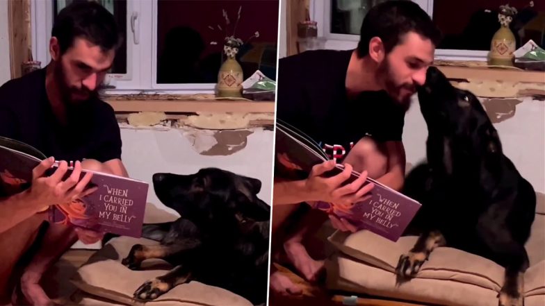 Pet Dog Attentively Listens as His Human Reads Him a Book, Wholesome Video Goes Viral