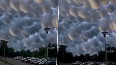 Mammatus Clouds in China Video: Meteorological Marvel Create Captivating Sky Display in Hubei Province