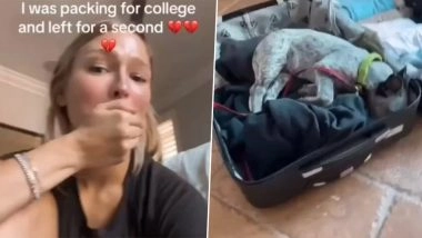Pet Dog Sleeps in Owner's Suitcase as She Packs For College, Heartwarming Video Goes Viral