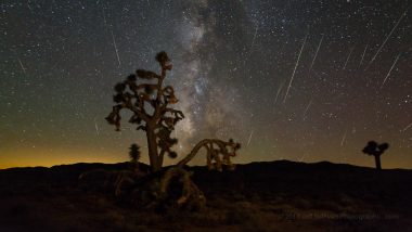 Perseid Meteor Shower 2023 Live Streaming Online: When and Where To Watch Perseids That Will Light Up the Night Sky This Weekend