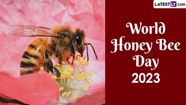 When is World Honey Bee Day 2023? Know Date And Significance Of The Day That Highlights The Importance Of Bees in Our Ecosystem