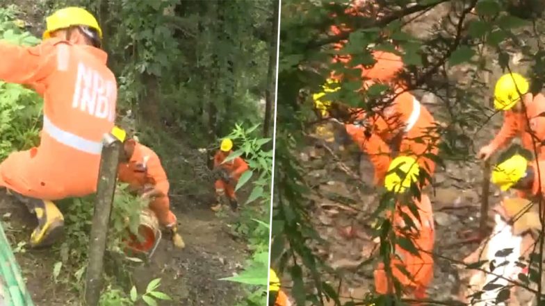 Himachal Pradesh Rains: Shimla Landslide Toll Climbs to 16, Five Persons Missing; Rescue Operation Underway (Watch Video)