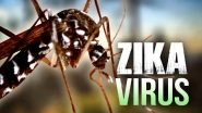 Zika Virus in Mumbai: 79-Year-Old Man Becomes First Confirmed Patient; &lsquo;No Need to Panic&rsquo;, Says BMC