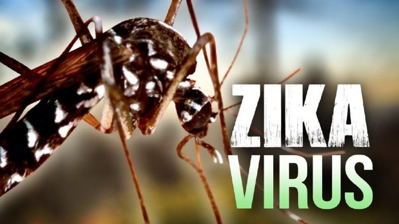 Zika Virus in Mumbai: 79-Year-Old Man Becomes First Confirmed Patient; ‘No Need to Panic’, Says BMC