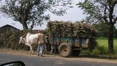 Maharashtra: No Roads in Village Force Kin to Carry Dead Body in Bullock Cart in Wardha