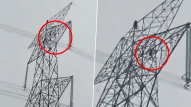 Chhattisgarh: Upset With Lover, Women Climbs 150-Feet High-Tension Tower, Boyfriend Follows (Watch Video)