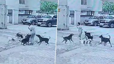 Ghaziabad Dog Attack Video: Stray Dogs Surround Child, Bite Him Before Being Chased Away by Delivery Agent