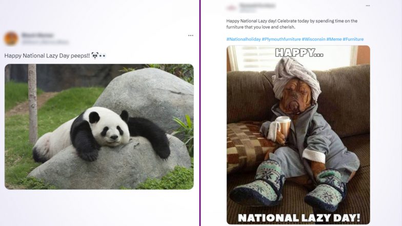 National Lazy Day 2023: Twitterati Share Funny Memes and Wishes On the Day Meant to Relax and Enjoy Leisure Time