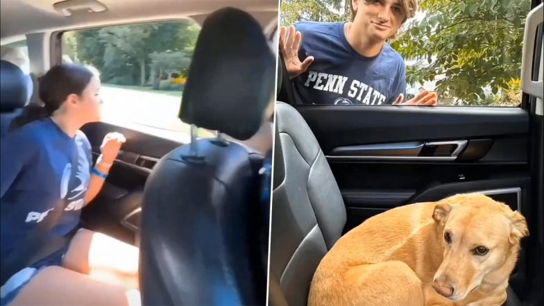 Rescued Dog Chases Owner's Car As the Latter Leaves For College, Heartwarming Video Goes Viral