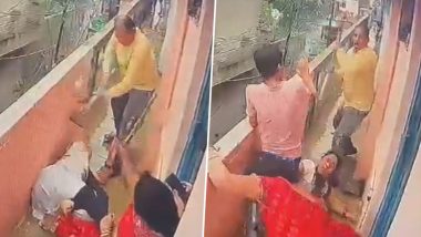 Uttar Pradesh Shocker: Woman Thrashed by Neighbours With Shovel After Dispute Over Pet Cat in Kanpur, Terrifying Video Surfaces