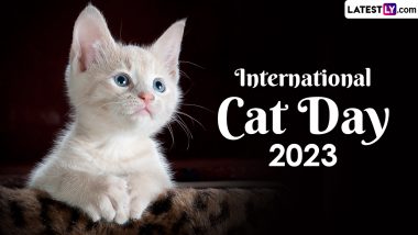 International Cat Day 2023 Date, History and Significance: Everything To Know About the Day That Celebrates the Unconventional Love for Cats