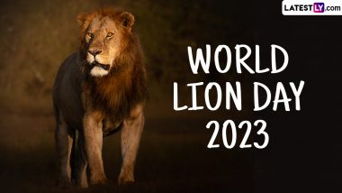 World Lion Day 2023 Date, Theme, History and Significance: All You Need To Know About the Day That Raises Awareness About Conserving the 'King of the Jungle'