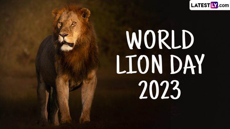 World Lion Day 2023 Date, Theme, History and Significance: All You Need