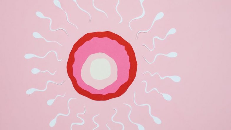 Menopause Symptoms May Worsen as a Result of Infertility, Reveals Study