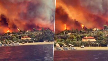 Greece Wildfire: Heatwaves Fuel Deadliest Blaze Ever in European Union This Summer (Watch Video)