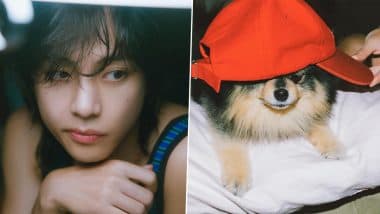 V's Rainy Days Music Video Features His Adorable Dog Yeontan