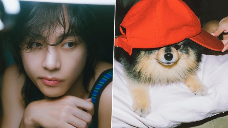 BTS V aka Kim Taehyung Looks Handsome in Layover Concept Pics, K-Pop Idol Shares Cute Pics With His Dog Yeontan