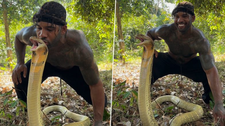 Man Kisses a Cobra on Its Head, Chilling Video Goes Viral (Watch)