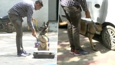 G20 Summit 2023: Delhi Police's Dog Squad Practices Detection of Dummy Explosives (Watch Video)