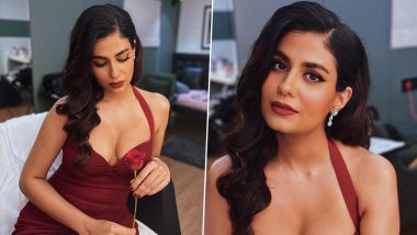 Shreya Dhanwanthary Flaunts Her Plunging Neckline in Red Bodycon Dress, Guns & Gulaabs Actress Shares Sexy Pics on Insta