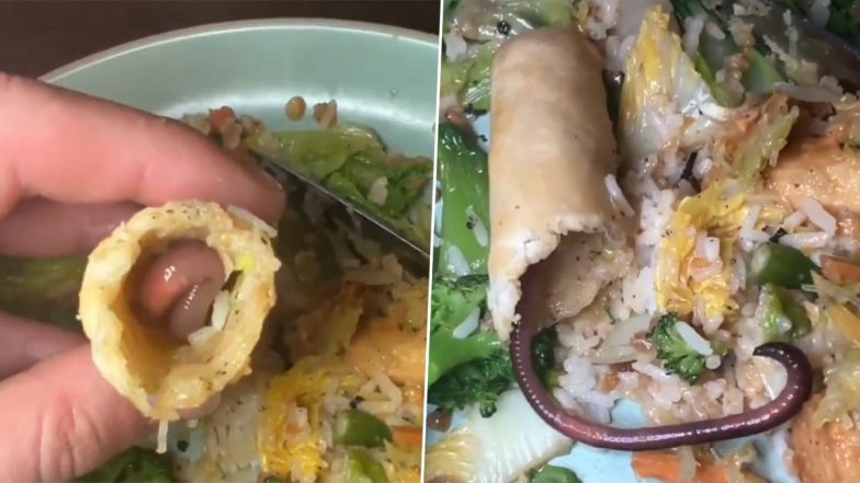 Earthworm Found in Spring Roll, Video of Worm Crawling Across Plate Leaves Netizens in Disgust