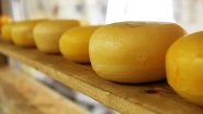 Cheesemaker Crushed to Death by Cheese Wheels in Italy: Italian Man Dies After Being Buried Under 25,000 Wheels in Lombardy