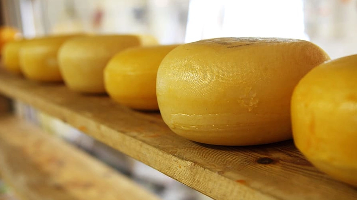 Viral News Italian Cheesemaker Crushed to Death by Falling Cheese