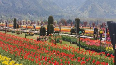 Indira Gandhi Memorial Tulip Garden Enters World Book of Records As Asia's Largest With 1.5 Million Flowers