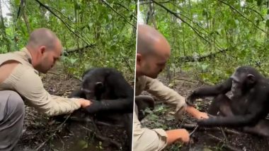 Chimpanzee Asks For Photographer's Help in Drinking Water, Business Tycoon Anand Mahindra Shares Heart-Touching Video On Twitter (Watch)
