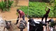 NCC Students Punished &lsquo;Brutally&rsquo; in Thane&rsquo;s Joshi Bedekar College; NCP Demands Action (Watch Video)