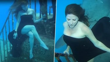 Photoshoot With Sharks: Underwater Model Fearlessly Poses With Meat-Eating Sharks in Bahamas (Watch Video)