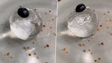 Transparent Gulab Jamun! Video of Bizarre Dessert That Looks Like Ice Goes Viral, Netizens Have Hilarious Reactions (Watch)