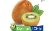Business News | Kiwifruit from Chile &ndash; Health in Every Bite is Now Available in India