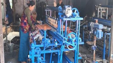 India News | Assam: Women from Human-elephant Conflict-affected Villages Learn Handloom Techniques to Supplement Income