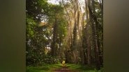 Science News | Research Reveals Tropical Trees Use Social Distancing to Maintain Biodiversity