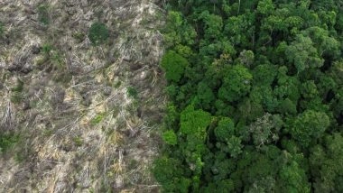 World News | Brazil: Amazon Deforestation Drops Six-year Low