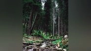 Science News | Study Shows Secondary Forests Are More Drought-sensitive Than Primary Forests