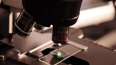 Science News | Researchers Find New Method to Combat Fungi