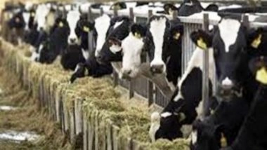 India News | Revolutionizing Dairy Industry - Baramulla Leads J-K's White Revolution with Remarkable Growth